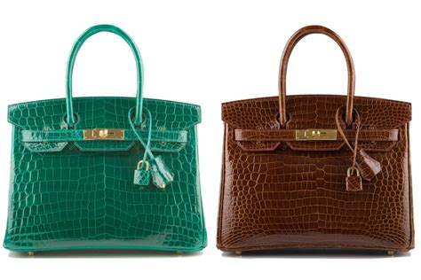 hermes alligator vs crocodile